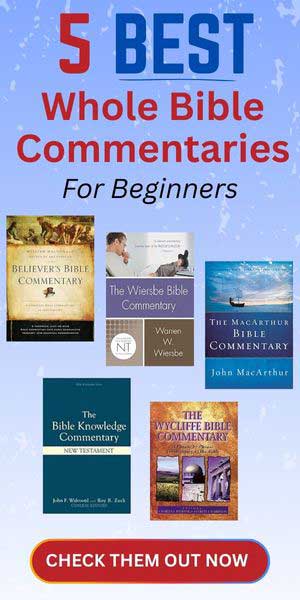 5 Best Whole Bible Commentaries For Beginners